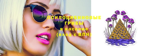 твердый Алексеевка