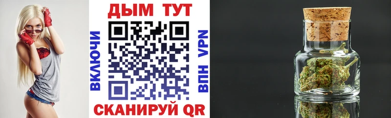 Канабис THC 21%  где можно купить   Нолинск 